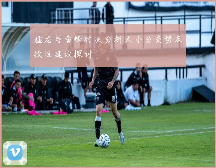猛龙与黄蜂对决分析大小分走势及投注建议探讨